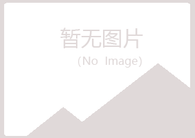 岢岚县掠过能源有限公司